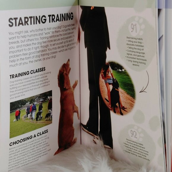 Happy Dog Book 100 Tail-Wagging Tips - Picture 7 of 8